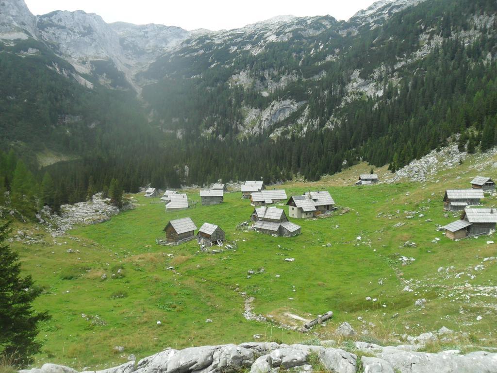 בוהין Farmhouse Pri Miklavu מראה חיצוני תמונה
