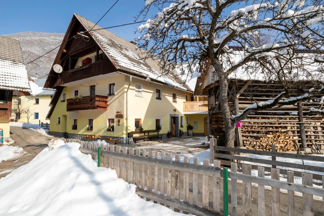 בוהין Farmhouse Pri Miklavu מראה חיצוני תמונה
